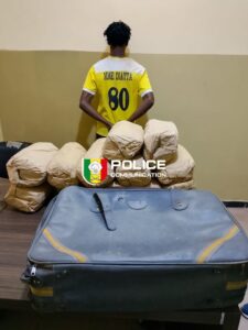Ziguinchor : Un présumé trafiquant arrêté avec 12 kg de chanvre indien