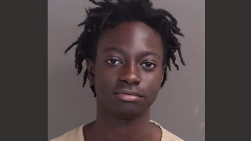 États-Unis : accusé de meurtre dans l’Ohio, le Sénégalais Massamba Dieye arrêté, sa caution fixée à 2,3 milliards FCFA