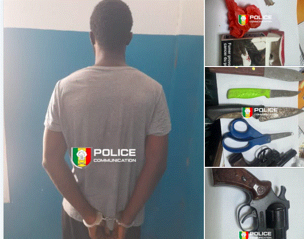 Golf Sud : un revolver, des couteaux et du chanvre indien saisis chez un suspect