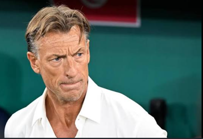 Côte d’Ivoire : Hervé Renard, le retour du sorcier blanc chez les Éléphants