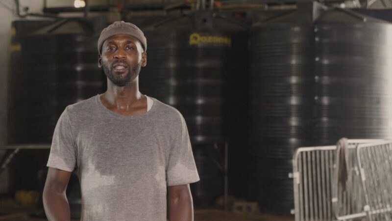 Alpha Diallo, un entrepreneur engagé dans la transformation agro-industrielle au Sénégal