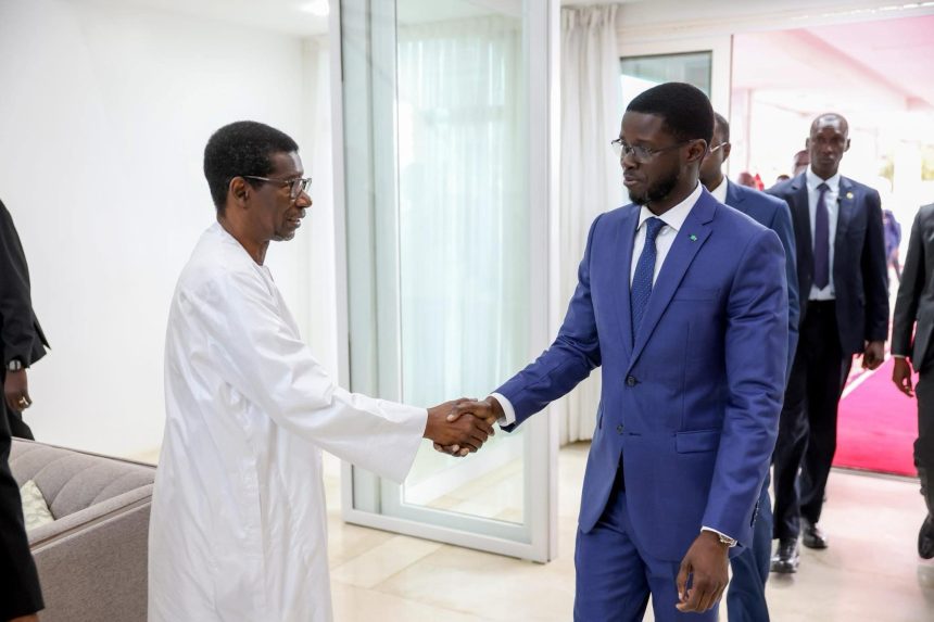 « Imposteur » : Abass Fall ressort une ancienne sortie de Diomaye Faye pour répondre à Mary Teuw Niane