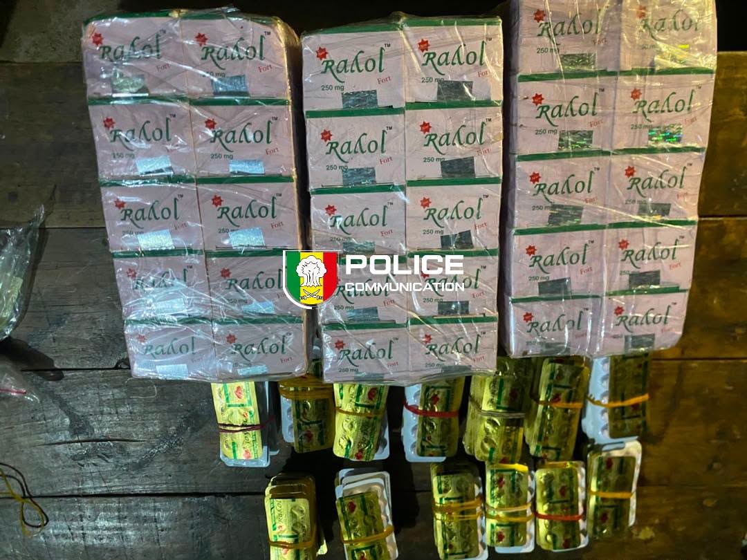 Kédougou : un pharmacien clandestin arrêté avec plus de 4 300 comprimés de Tapentadol