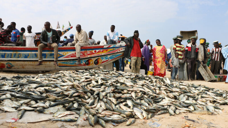 Intempéries au Sénégal : Le ministère des Pêches confirme le décès de deux pêcheurs frappés par la foudre à Dakar et Mbao