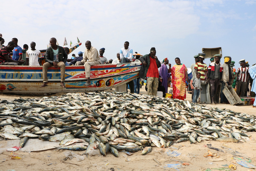 Intempéries au Sénégal : Le ministère des Pêches confirme le décès de deux pêcheurs frappés par la foudre à Dakar et Mbao