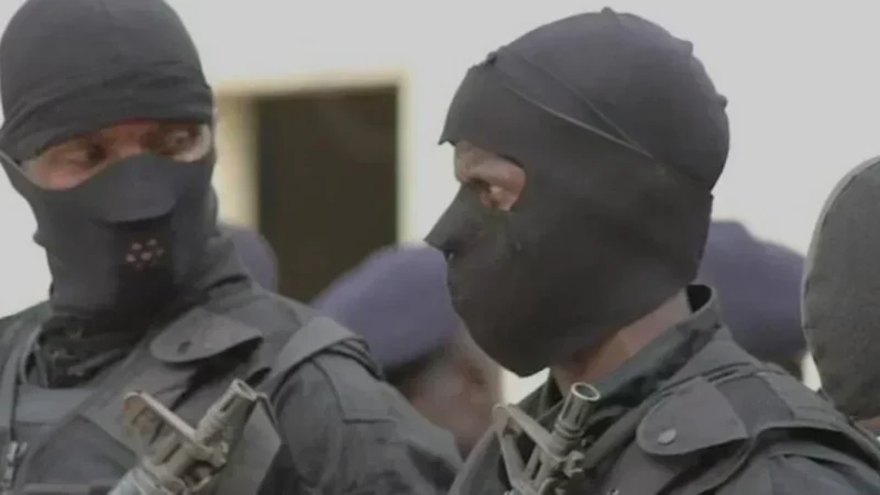 BR de Faidherbe : 47,76 millions de faux billets saisis à Toubab Dialaw et à Diamniadio