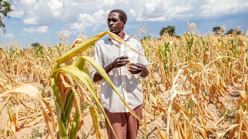 Le Programme alimentaire mondial alerte : 49 millions de personnes supplémentaires menacées de faim d’ici 2027