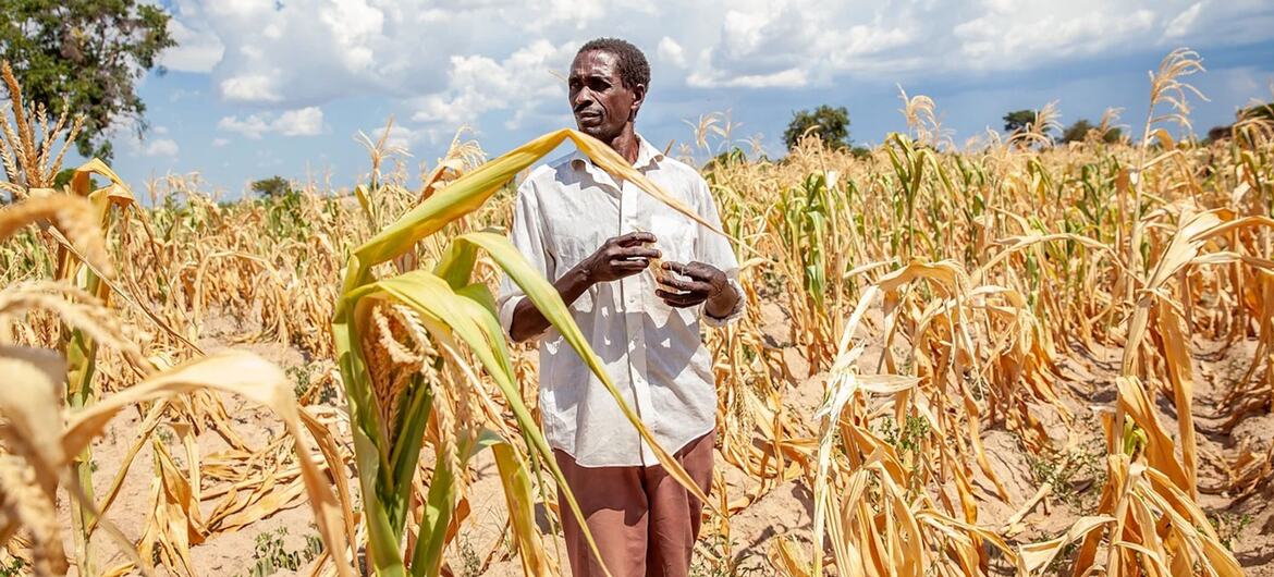 Le Programme alimentaire mondial alerte : 49 millions de personnes supplémentaires menacées de faim d’ici 2027