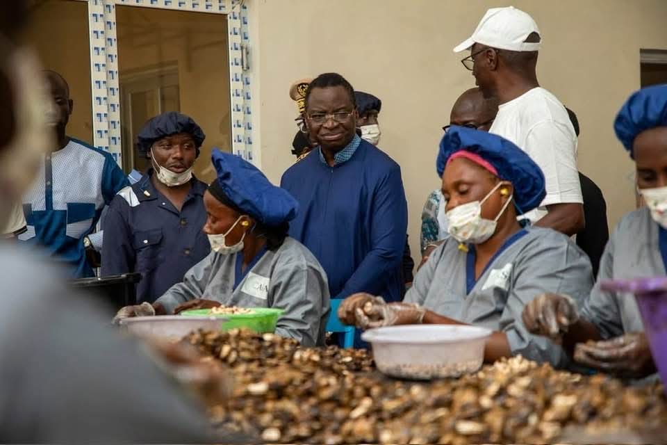 Casa Industries ancre son projet à Djifanghor et prépare une unité d’arachide