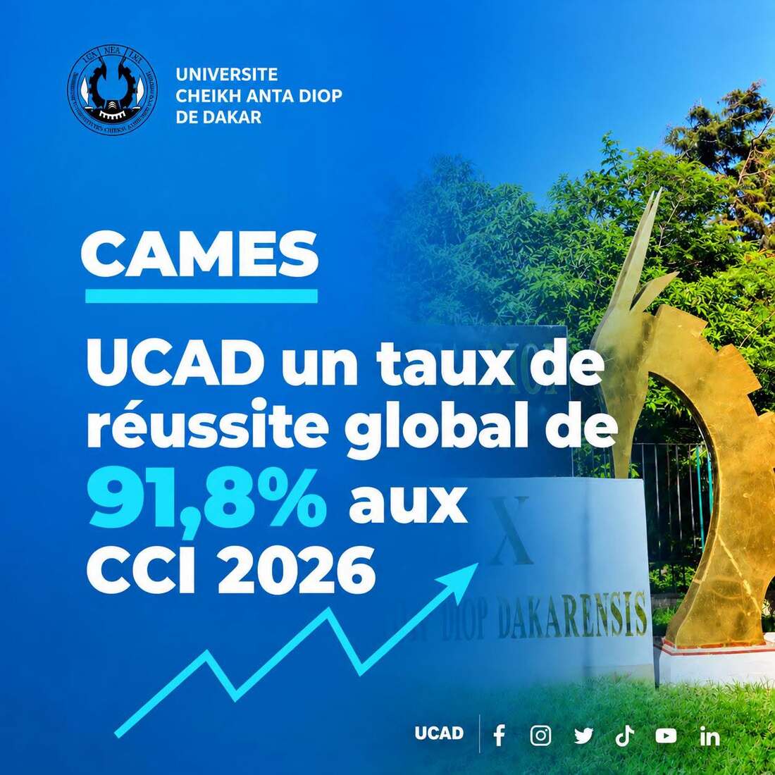 UCAD : 91,8 % de réussite aux comités interafricains 2026, candidatures en forte hausse