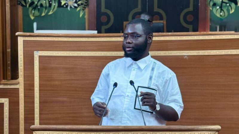 Censures du Conseil constitutionnel : Diallo veut revoir le rôle des assistants parlementaires