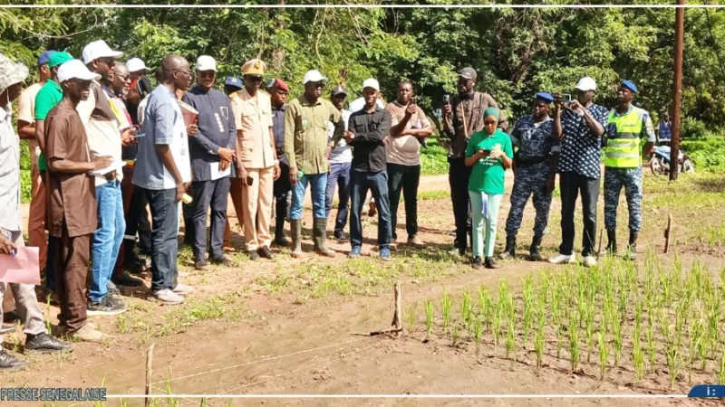 Cheikhou Oumar Ba à Sédhiou : le matériel agricole et les pistes de production en question