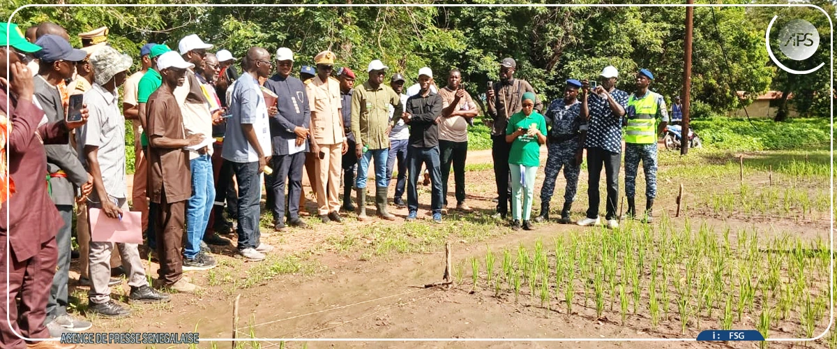 Cheikhou Oumar Ba à Sédhiou : le matériel agricole et les pistes de production en question
