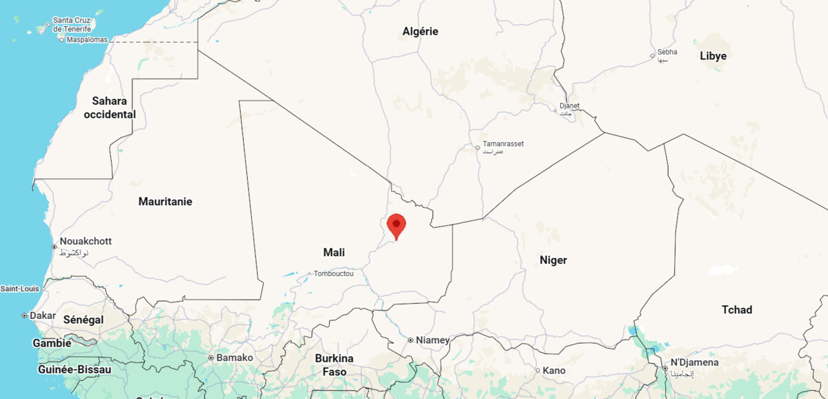 Mali : le FLA libère six soldats, dont certains blessés, avec l’intermédiaire du CICR