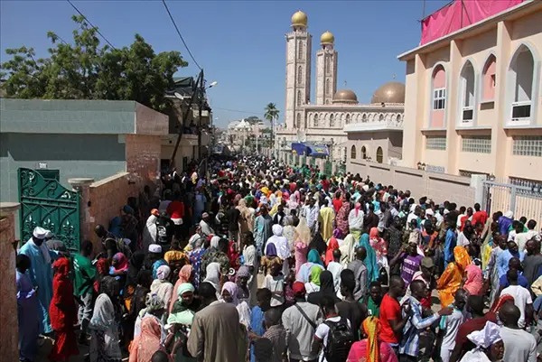 À Tivaouane, Mawlid géolocalise les services et signale les incidents