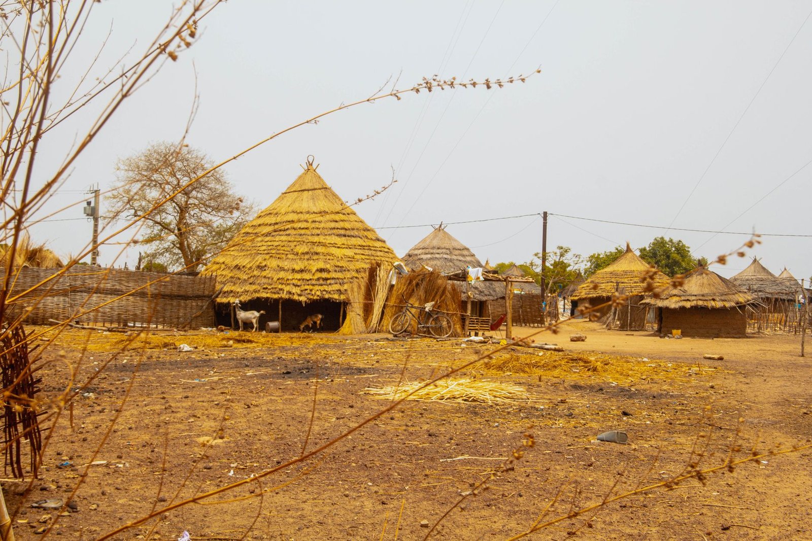 À Ziguinchor, Pastef défend la justice et attaque l’opposition