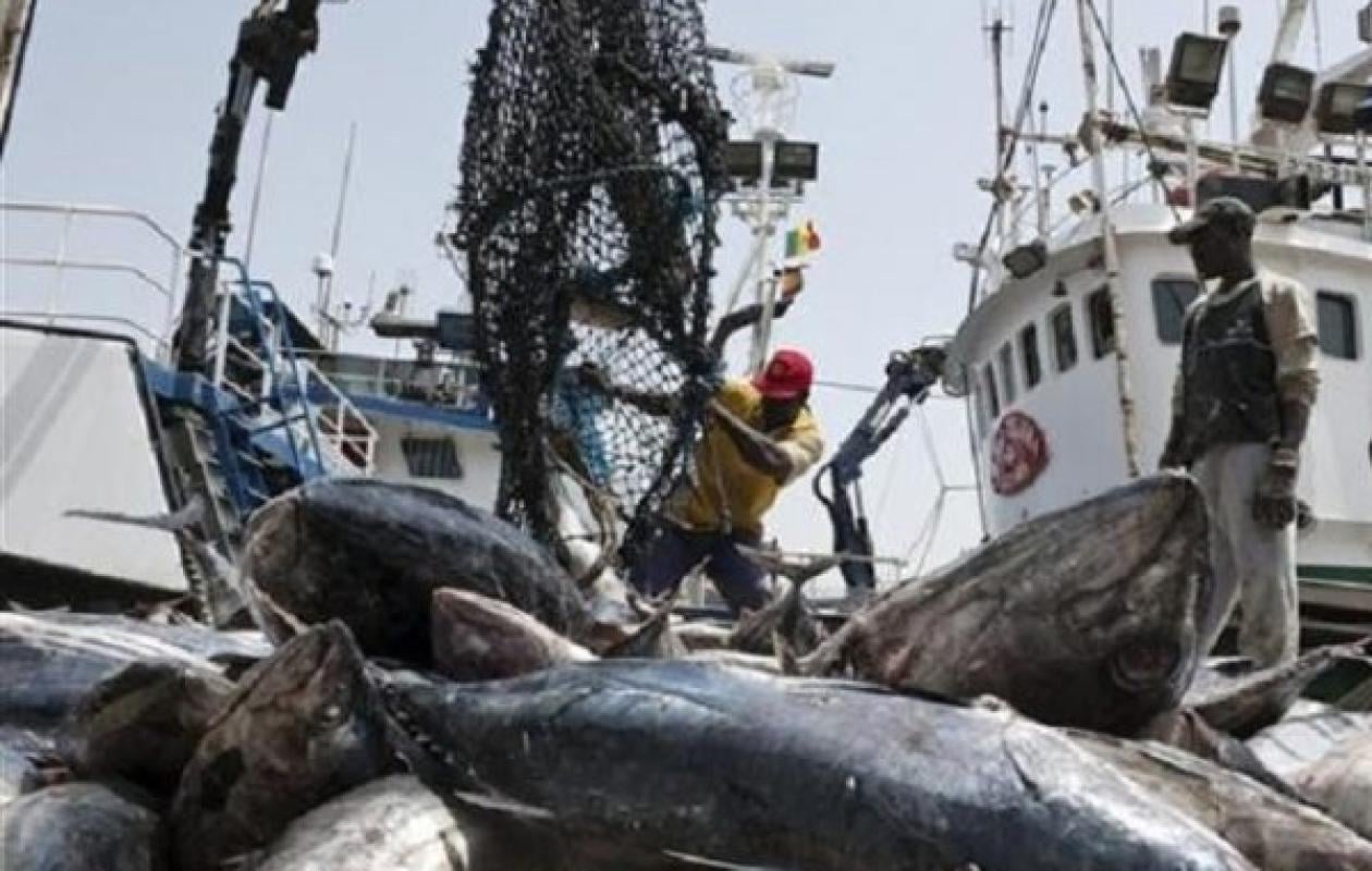 Licences de pêche : l’Assemblée valide une enquête parlementaire à l’unanimité