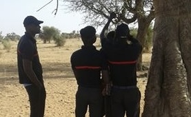 Sédhiou : malgré un suivi psychiatrique, un père de six enfants retrouvé pendu