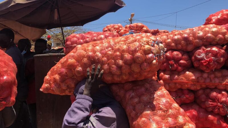 Oignon : le marché rouvre sous quota avec l’ARM et l’IPOS
