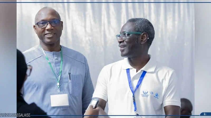 Gamou de Tivaouane : 356 personnes âgées prises en charge, un manque de mécanisme spécifique souligné