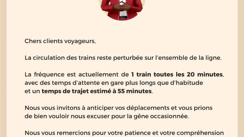 Trafic TER perturbé ce 21 août : 1 train toutes les 20 minutes