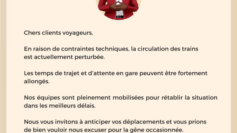 Trafic TER perturbé ce 21 août en raison de contraintes techniques