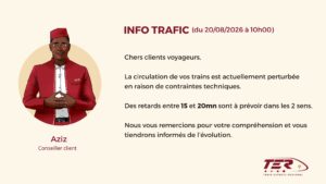 Trafic TER perturbé : retards de 15 à 20 minutes ce 20 août
