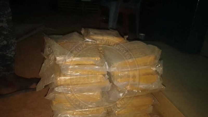 Kédougou : 33 kg de chanvre indien saisis par la gendarmerie