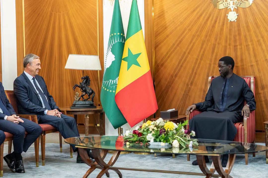 Audience au Palais entre le président Diomaye et un investisseur