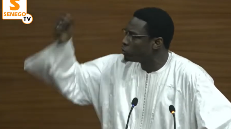 DPG : Pape Djibril Fall interpelle le gouvernement sur plusieurs préoccupations (Senego Tv)