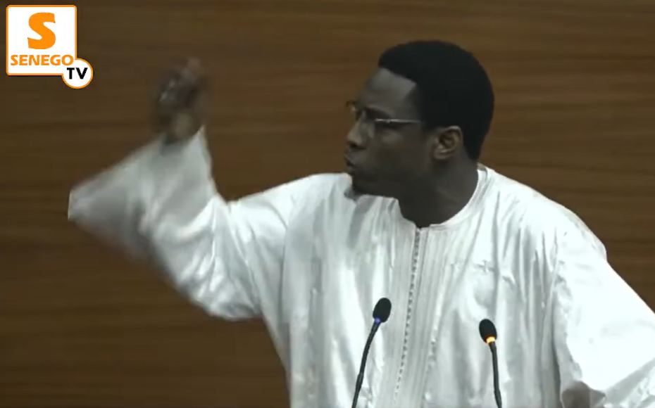 DPG : Pape Djibril Fall interpelle le gouvernement sur plusieurs préoccupations (Senego Tv)