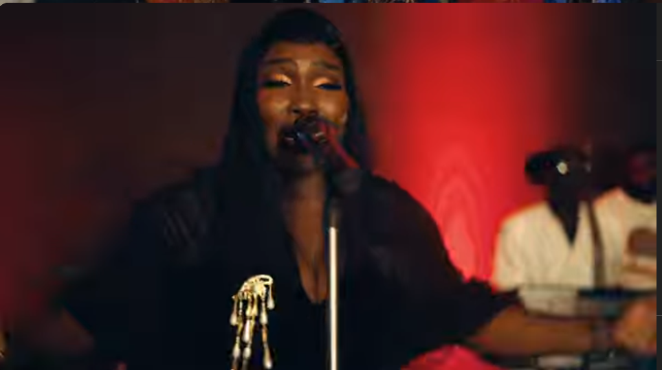 « AWO vs NIAREL » : Ndiolé Tall déclenche la bataille des coépouses (Clip)
