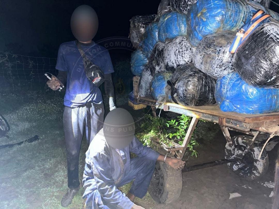 Lutte contre le trafic de stupéfiants : 427 kg de chanvre indien saisis à Mbodiène