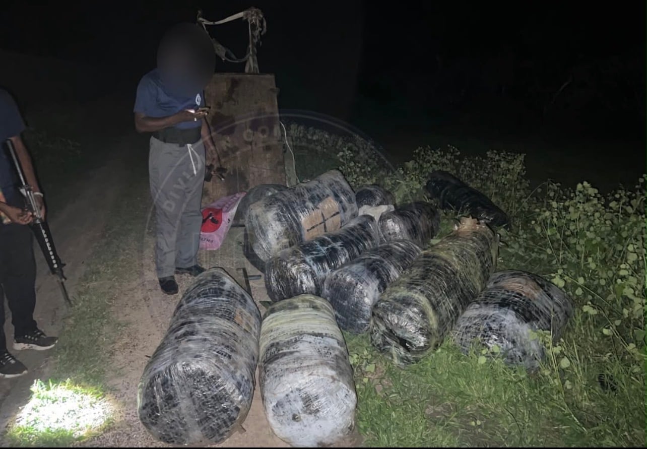 Mbour : la gendarmerie saisit 375 kg de chanvre indien près de la lagune de Mbodiène