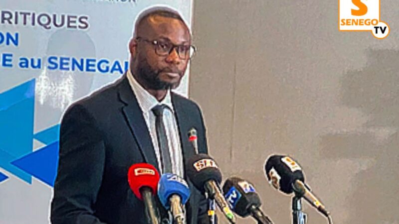 Lithium, cobalt, nickel…: Le trésor caché du sous-sol sénégalais