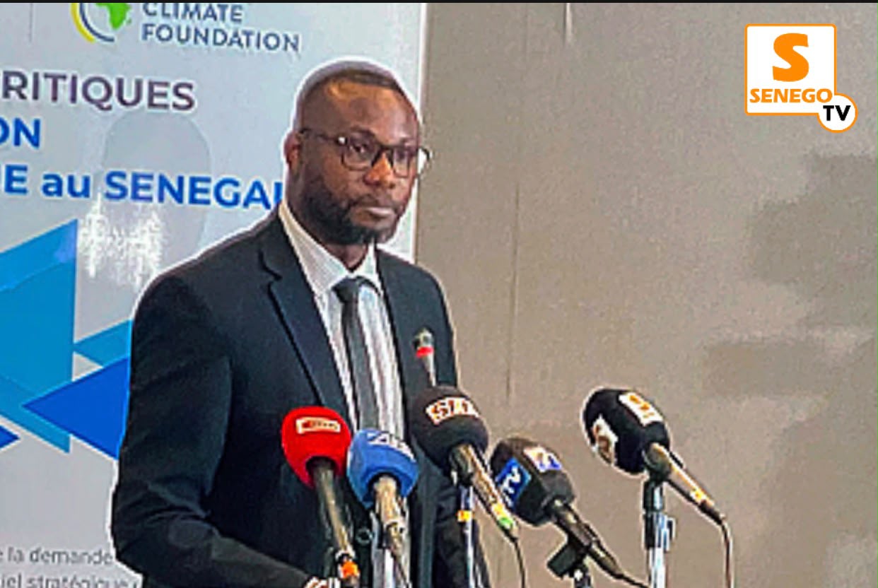 Lithium, cobalt, nickel…: Le trésor caché du sous-sol sénégalais