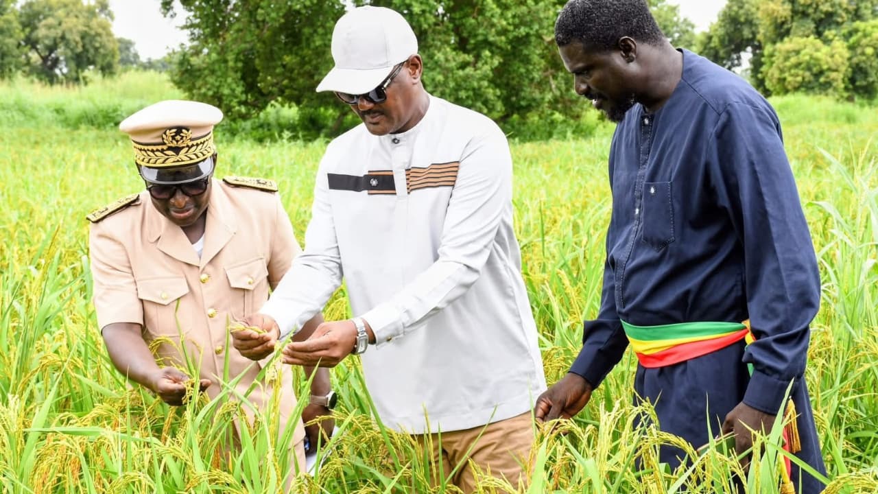 À Louga, Cheikhou Oumar Ba plaide pour structurer les filières niébé et arachide