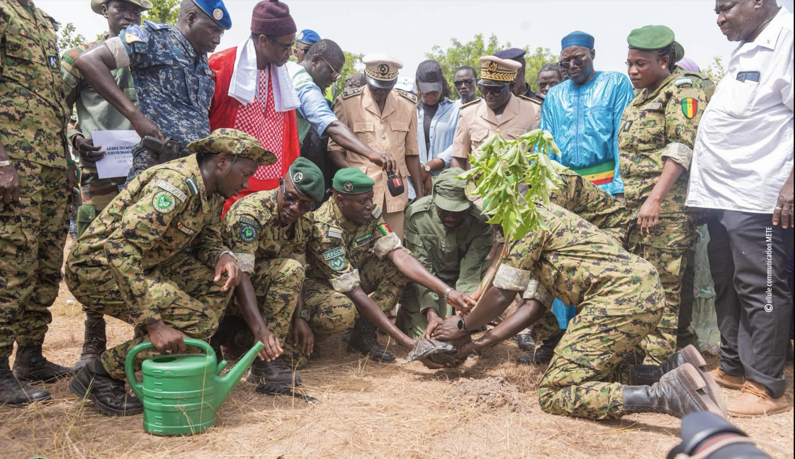 Tambacounda : la Caravane écologique mise sur la survie des arbres