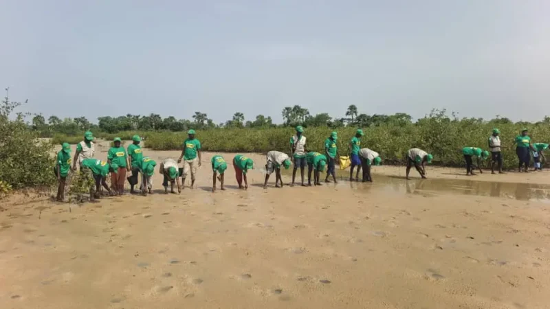 Le maire de Djirnda réclame un Plan spécial pour protéger les îles du Saloum avant la COP 31