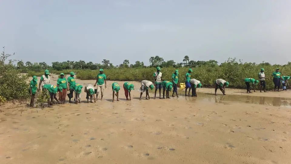 Le maire de Djirnda réclame un Plan spécial pour protéger les îles du Saloum avant la COP 31