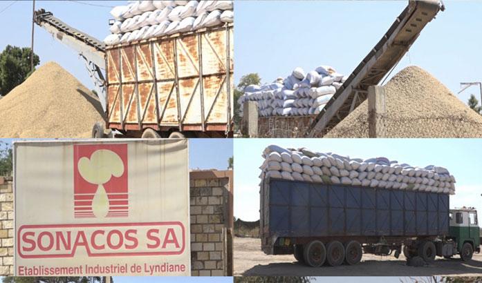 Sonacos : le DG précise le complexe de 18,75 milliards à Médina Yoro Foulah