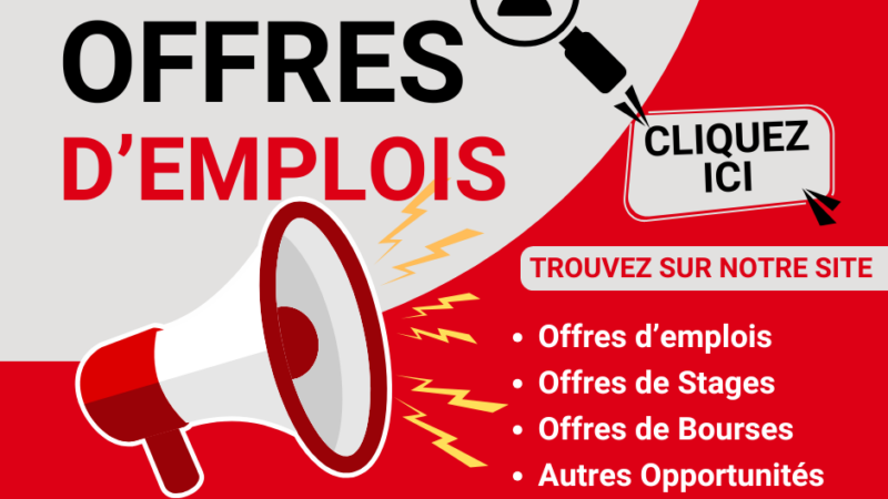 CNEE : un avis de recherche de profils pour des stages rémunérés lancé au Sénégal