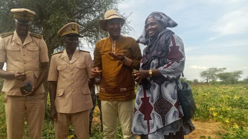 À Linguère, les productrices de niébé réclament semoirs et engrais organiques