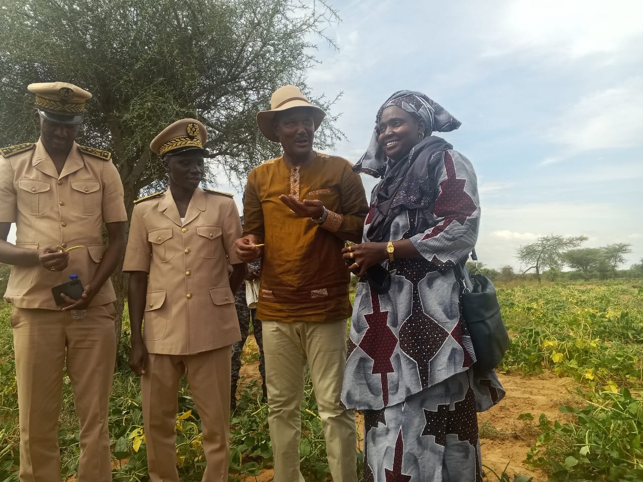 À Linguère, les productrices de niébé réclament semoirs et engrais organiques
