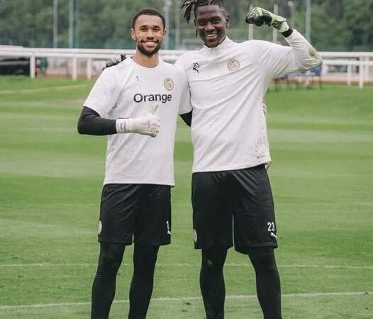 Succession d’Édouard Mendy : Diaw et Diouf se disputent le numéro 1 des Lions