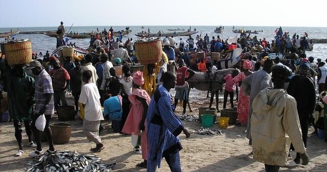 Dette : le Comité sénégalais demande un audit après le nouvel emprunt du FMI