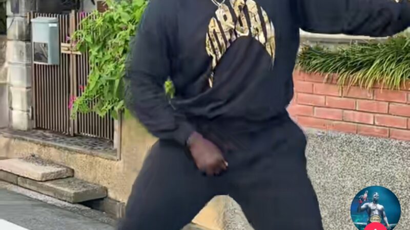 Alboury danse sur Momo Dieng, la lutte sénégalaise au rythme de la musique