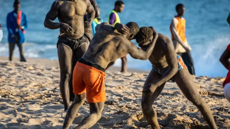 JOJ Dakar 2026 : la FSL forme 60 officiels de lutte pour viser la performance