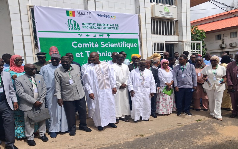 CST 2026 de l’ISRA : l’Institut dispose d’un budget remanié de 14,947 milliards de FCFA