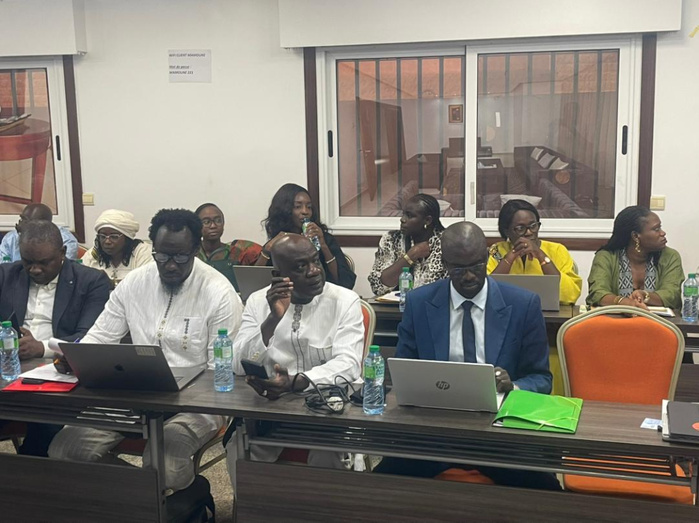 Culture, artisanat, tourisme : sept commissions dessinent le plan 2030